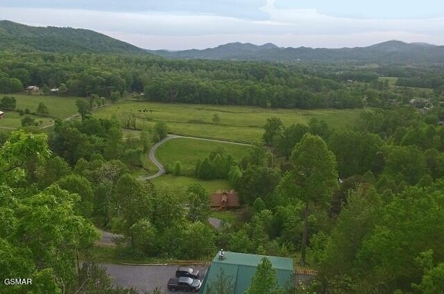 Sevierville, Tennessee, 37862, United States, 3 Bedrooms Bedrooms, ,3 BathroomsBathrooms,Residential,Forsale,1910187