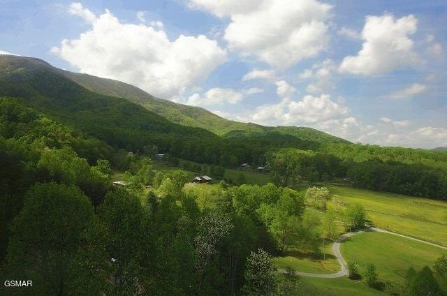 Sevierville, Tennessee, 37862, United States, 3 Bedrooms Bedrooms, ,3 BathroomsBathrooms,Residential,Forsale,1910187