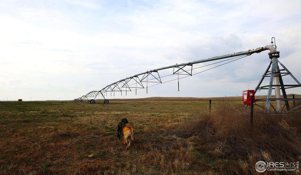 Merino, Colorado, 80741, United States, ,Residential,Forsale,1886112