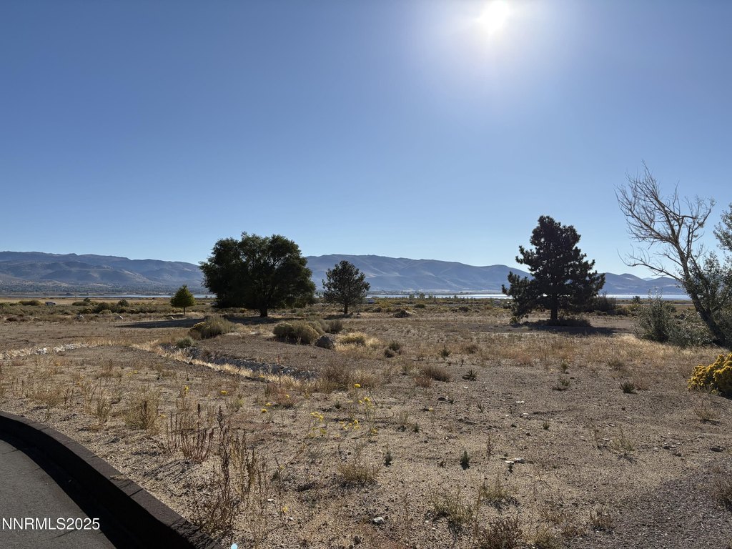 Washoe Valley, Nevada, 89704, United States, ,Land,Forsale,1993792