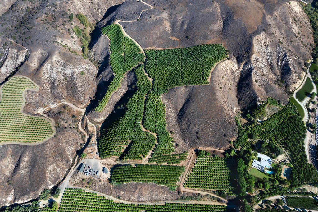 FILLMORE, California, 93015, United States, ,Commercial,Forsale,1964338