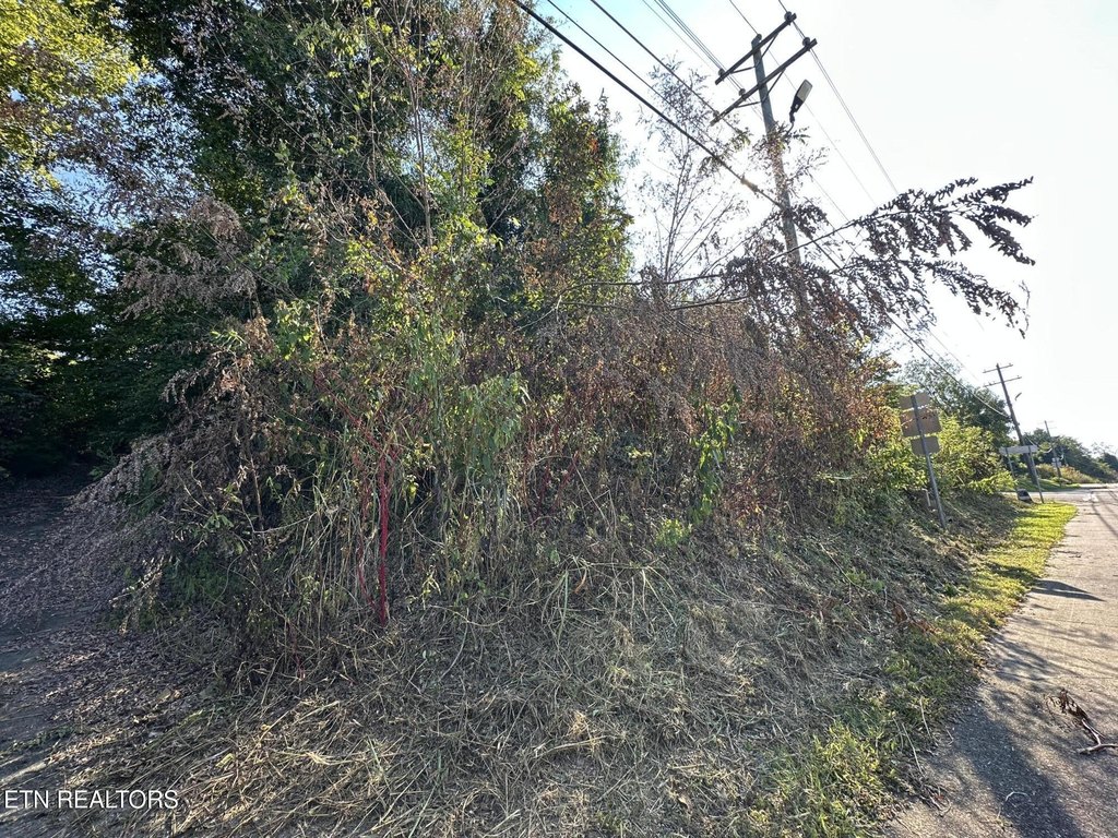 Tellico Plains, Tennessee, 37385, United States, ,Land,Forsale,1996595