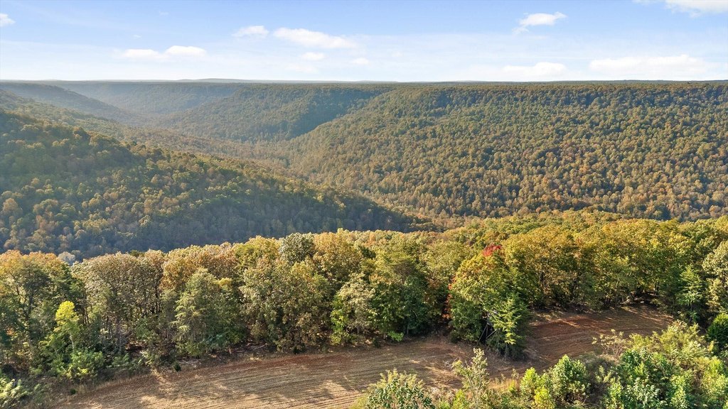 Spencer, Tennessee, 38585, United States, ,Land,Forsale,2009589