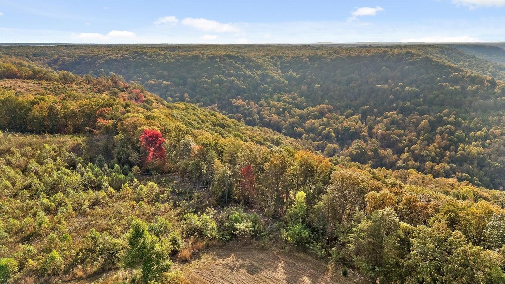 Spencer, Tennessee, 38585, United States, ,Land,Forsale,2009589