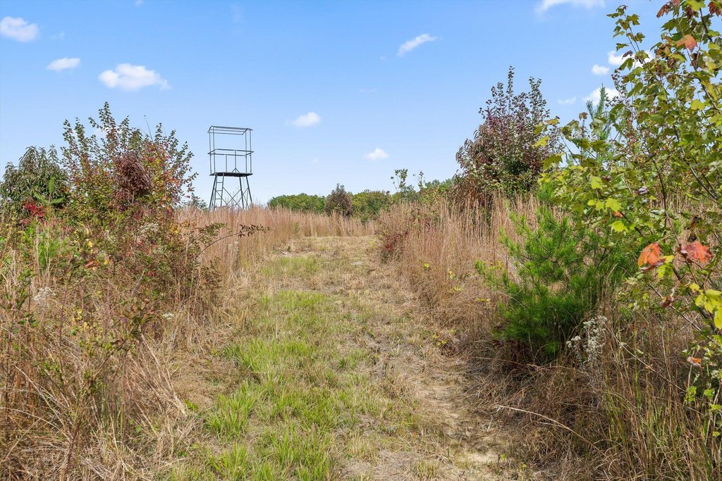 Spencer, Tennessee, 38585, United States, ,Land,Forsale,2009589