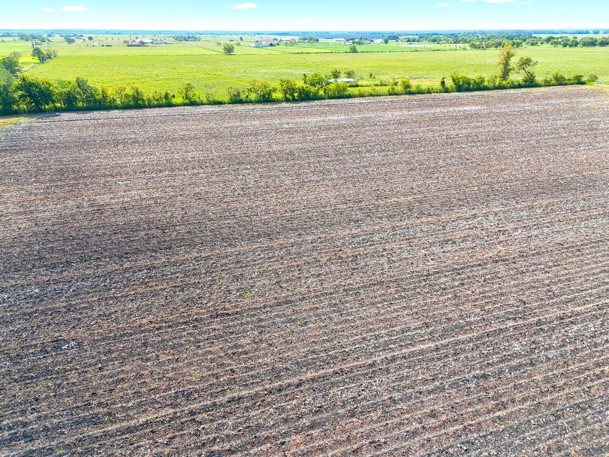 Needville, Texas, 77461, United States, ,Land,Forsale,1973438