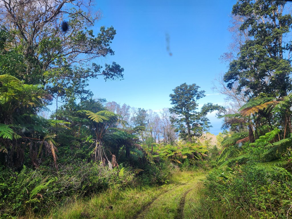 Captain Cook, Hawaii, 96704, United States, ,Land,Forsale,2004398