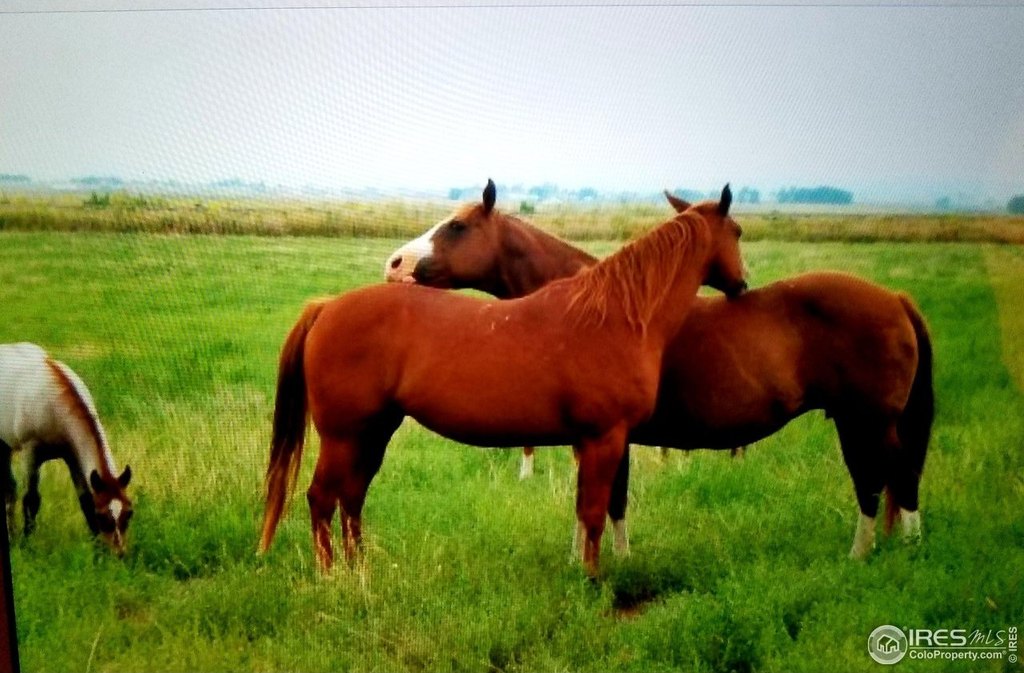La Salle, Colorado, 80645, United States, ,Land,Forsale,2000012
