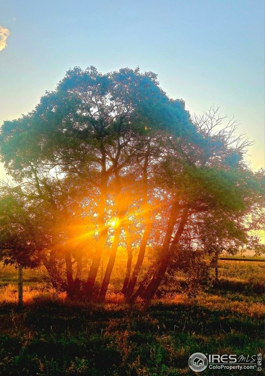 La Salle, Colorado, 80645, United States, ,Land,Forsale,2000012