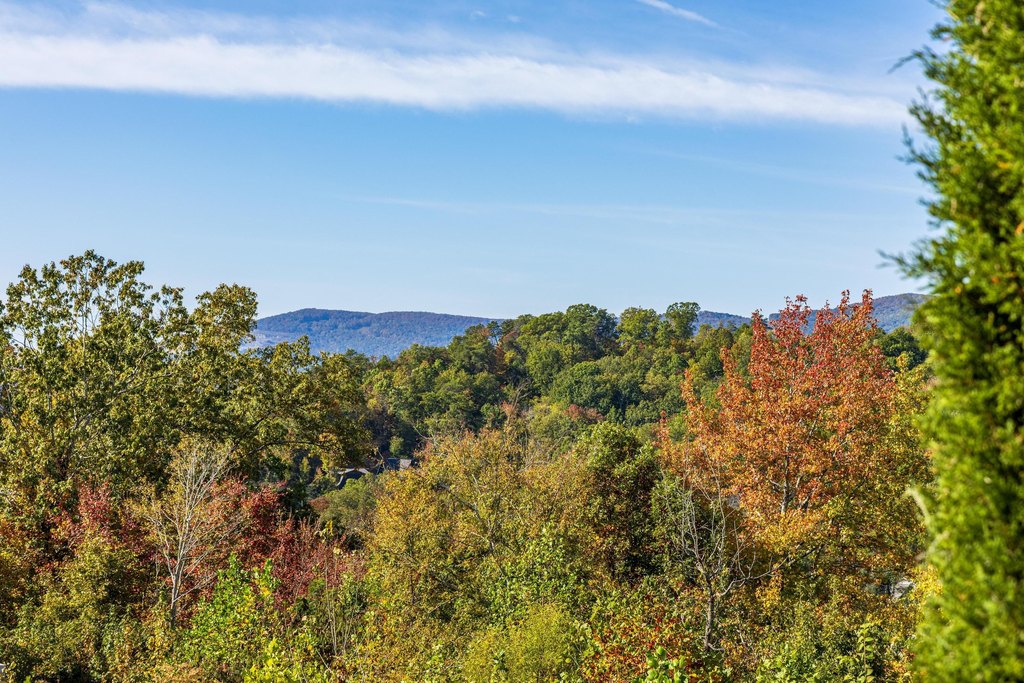 Chattanooga, Tennessee, 37405, United States, 5 Bedrooms Bedrooms, ,5 BathroomsBathrooms,Residential,Forsale,2009546
