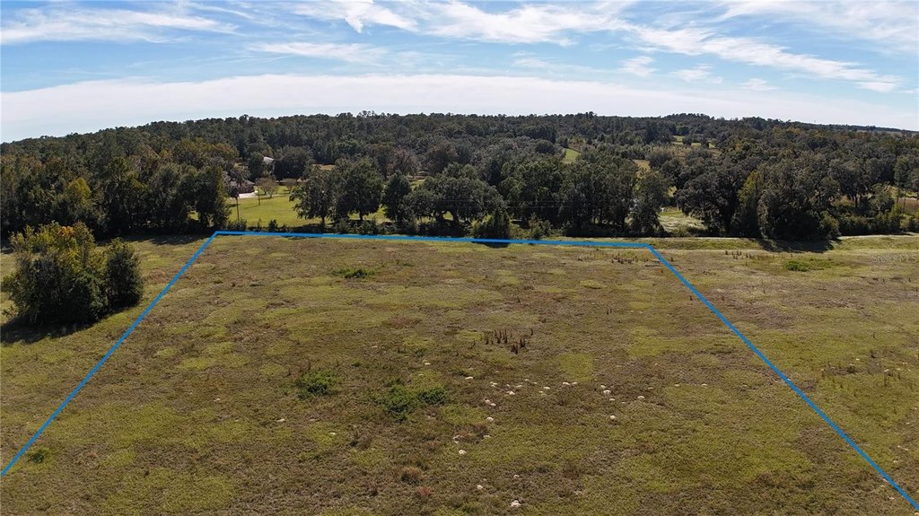 OCALA, Florida, 34482, United States, ,Land,Forsale,1994133