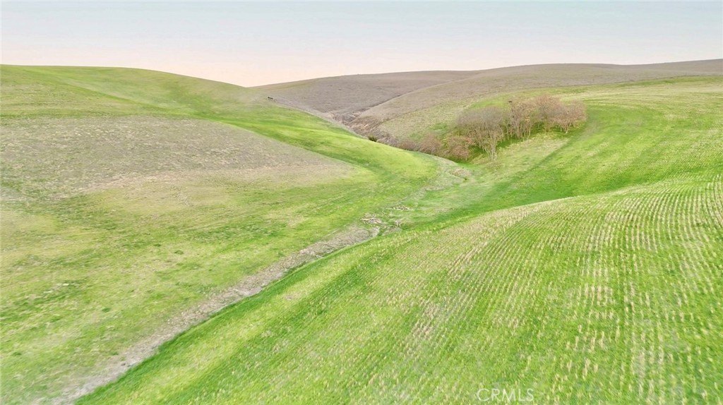 Shandon, California, 93461, United States, ,Land,Forsale,2004821