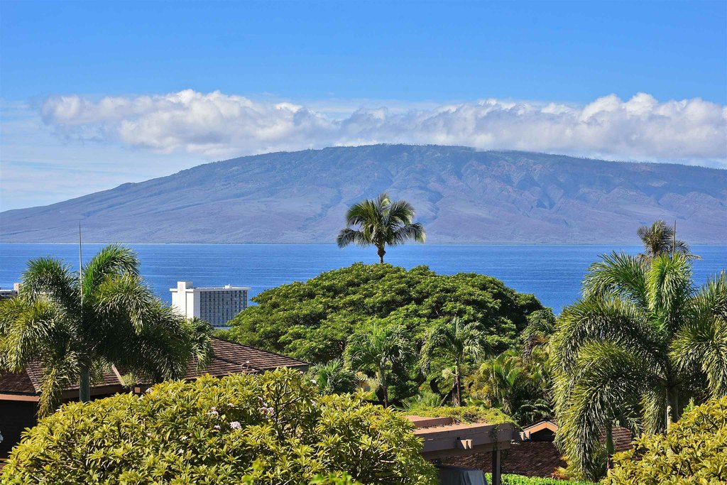 Lahaina, Hawaii, 96761, United States, 1 Bedroom Bedrooms, ,1 BathroomBathrooms,Residential,Forsale,2004551