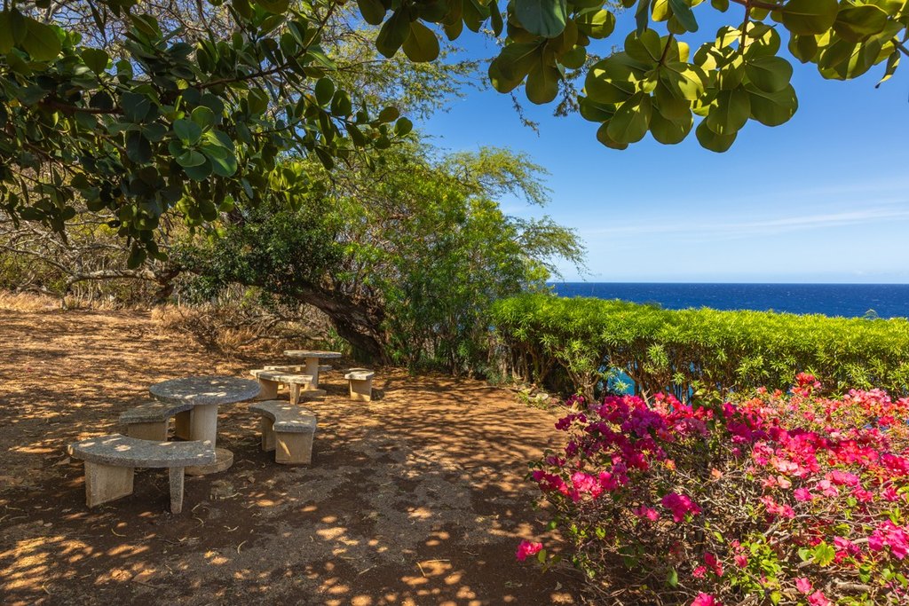 Hawi, Hawaii, 96719, United States, ,Land,Forsale,2004411