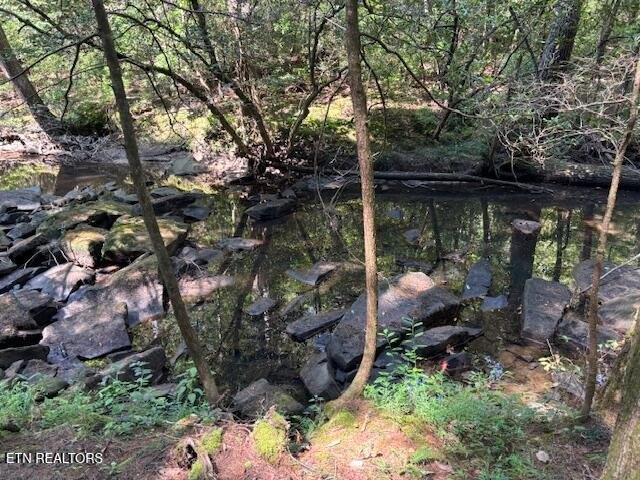 Crossville, Tennessee, 38558, United States, 3 Bedrooms Bedrooms, ,2.5 BathroomsBathrooms,Residential,Forsale,1968509