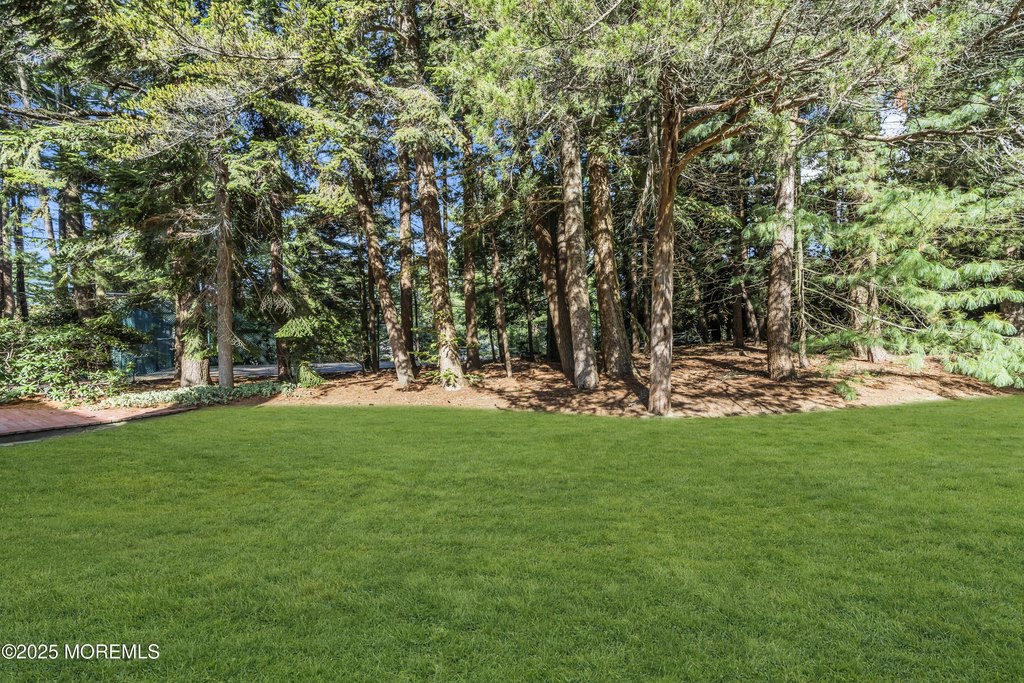 Brielle, New Jersey, 08730, United States, ,Land,Forsale,1984561