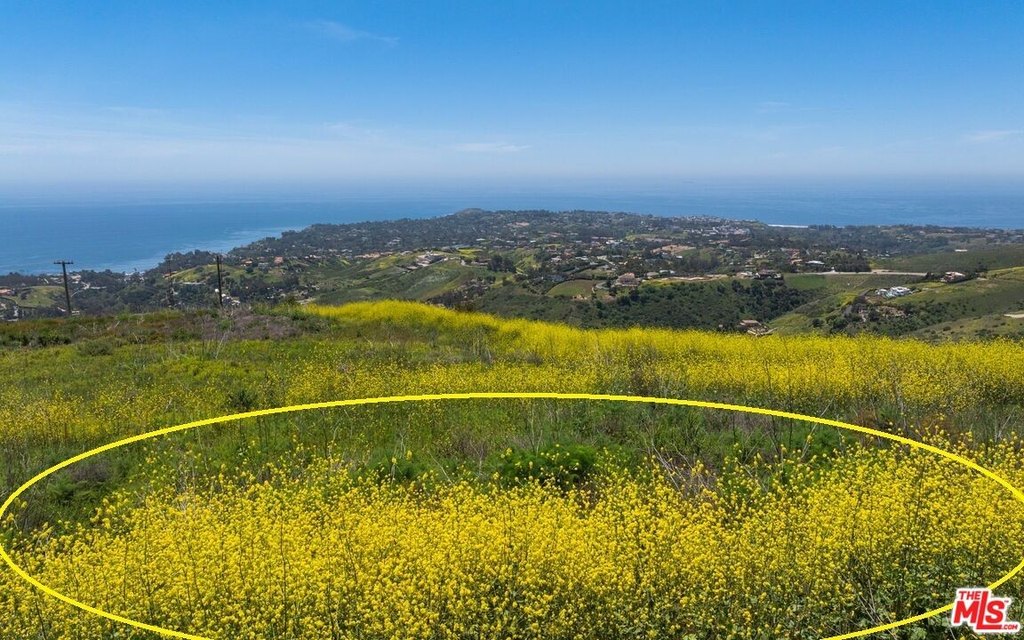 Malibu, California, 90265, United States, ,Land,Forsale,2009609