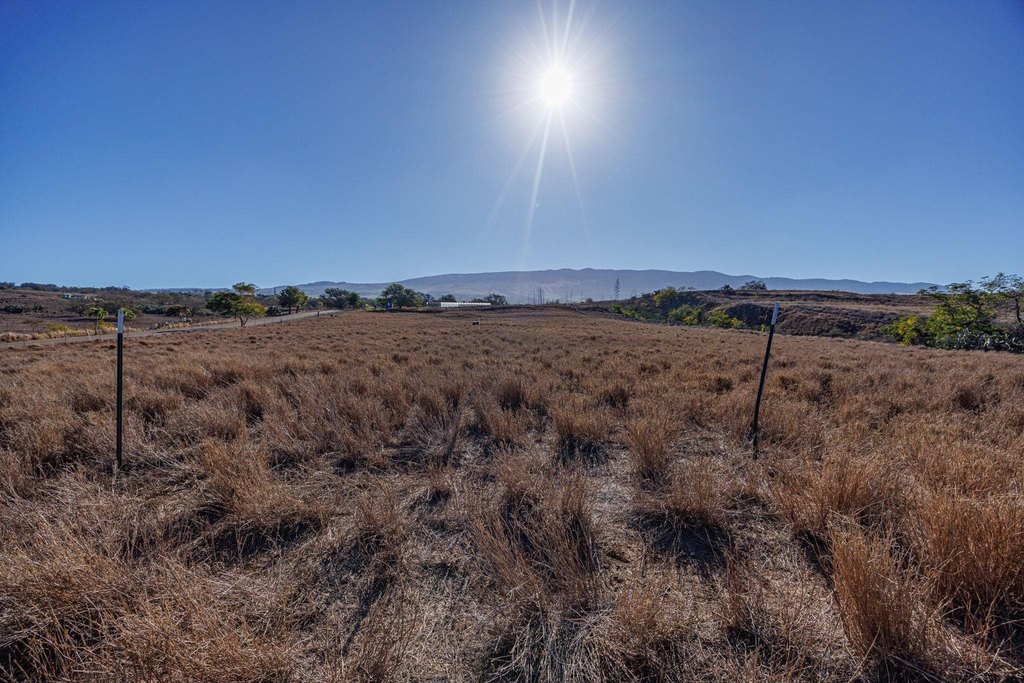 Kula, Hawaii, 96790, United States, ,Land,Forsale,2004556
