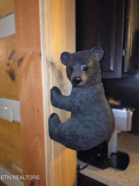 Sevierville, Tennessee, 37876, United States, 1 Bedroom Bedrooms, ,3 BathroomsBathrooms,Residential,Forsale,2012715