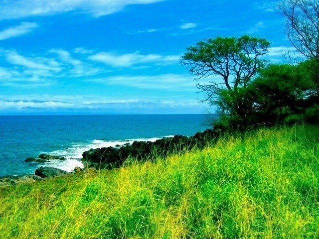 Hawi, Hawaii, 96719, United States, ,Land,Forsale,1886637