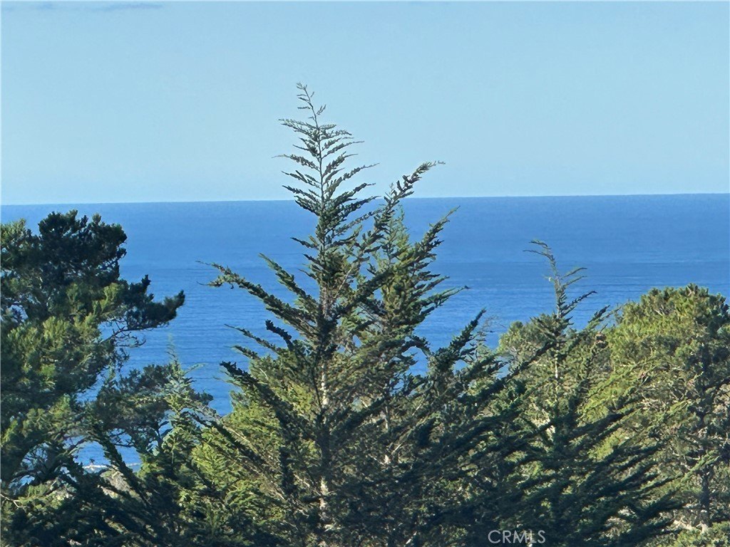 Cambria, California, 93428, United States, 3 Bedrooms Bedrooms, ,2.5 BathroomsBathrooms,Residential,Forsale,1967192