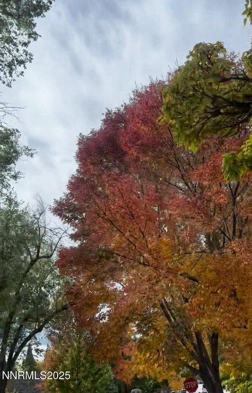 Reno, Nevada, 89509, United States, 3 Bedrooms Bedrooms, ,2 BathroomsBathrooms,Residential,Forsale,2012833