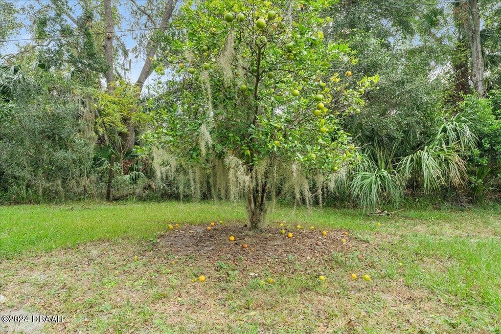 Flagler Beach, Florida, 32136, United States, ,Land,Forsale,2002762