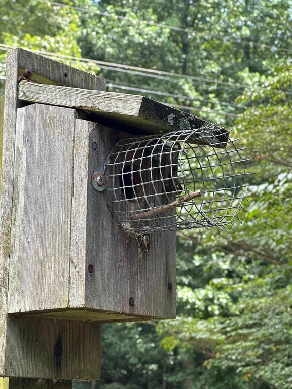 Signal Mountain, Tennessee, 37377, United States, 5 Bedrooms Bedrooms, ,3.5 BathroomsBathrooms,Residential,Forsale,1995325