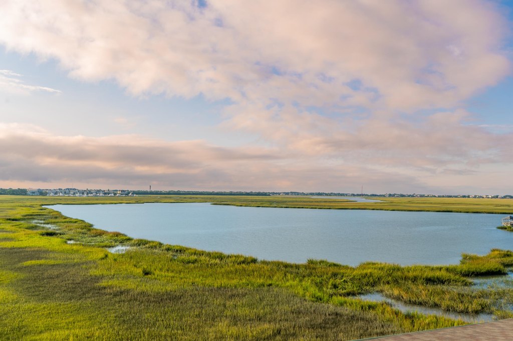 Mount Pleasant, South Carolina, 29464, United States, 4 Bedrooms Bedrooms, ,4 BathroomsBathrooms,Residential,Forsale,1985964