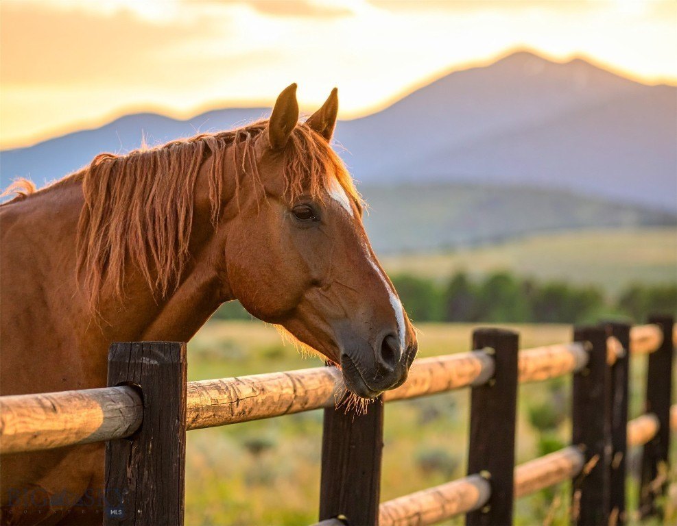 Bozeman, Montana, 59715, United States, 6 Bedrooms Bedrooms, ,5.5 BathroomsBathrooms,Residential,Forsale,1986988