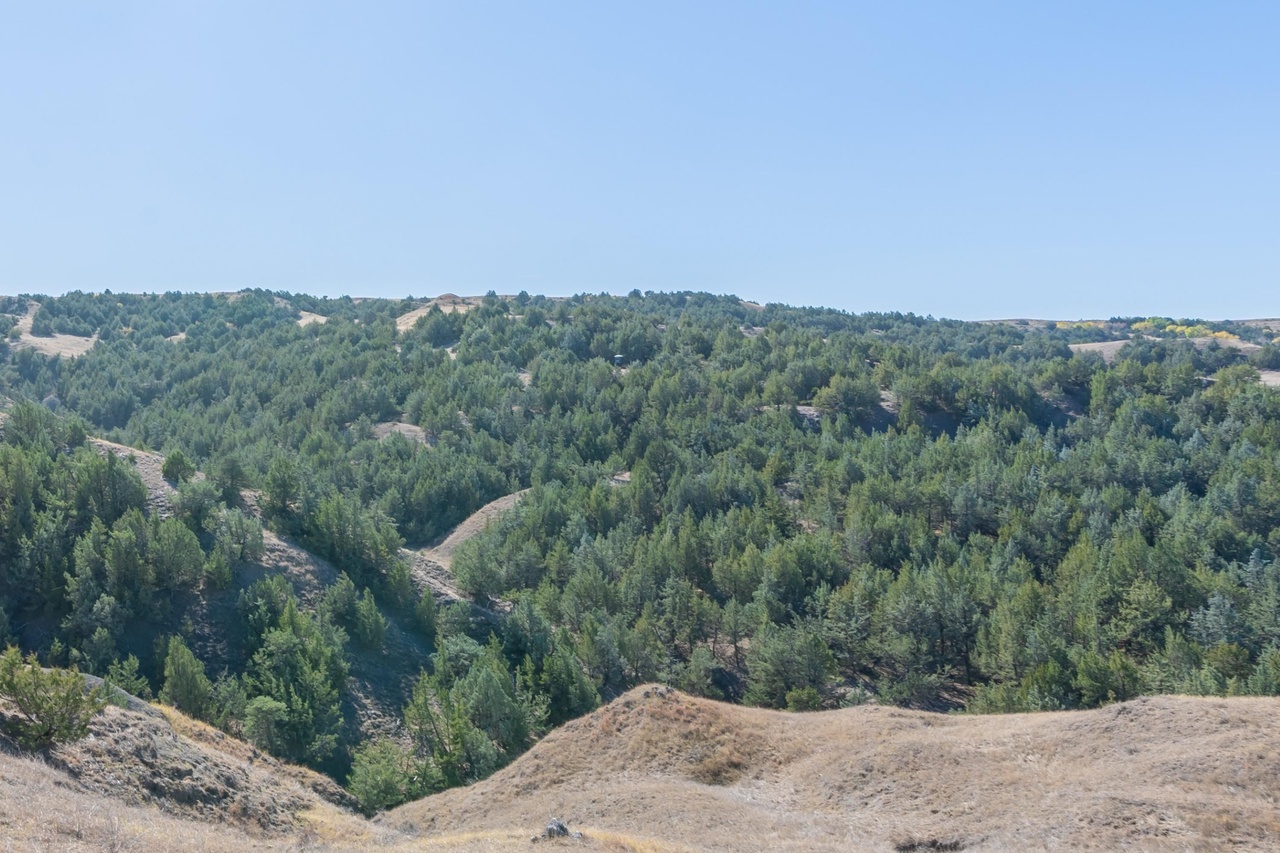 Milesville, South Dakota, 57553, United States, 4 Bedrooms Bedrooms, ,4 BathroomsBathrooms,Residential,Forsale,1962262