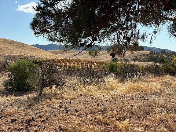 Paso Robles, California, 93446, United States, ,Land,Forsale,1967196