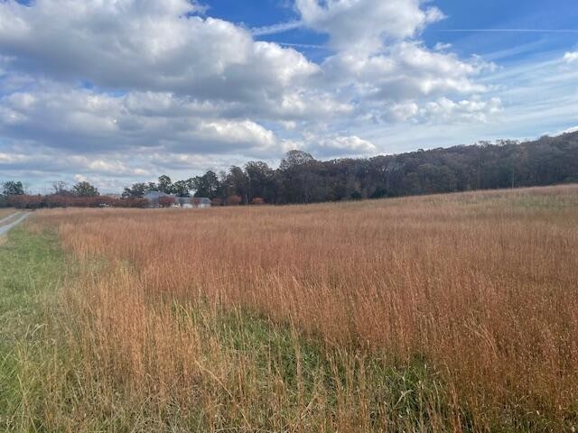 Dayton, Tennessee, 37321, United States, ,Residential,Forsale,2009518