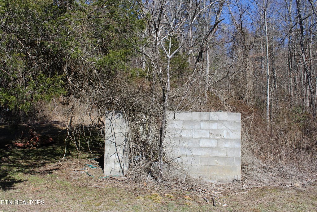 Jamestown, Tennessee, 38556, United States, 3 Bedrooms Bedrooms, ,1 BathroomBathrooms,Residential,Forsale,1885987