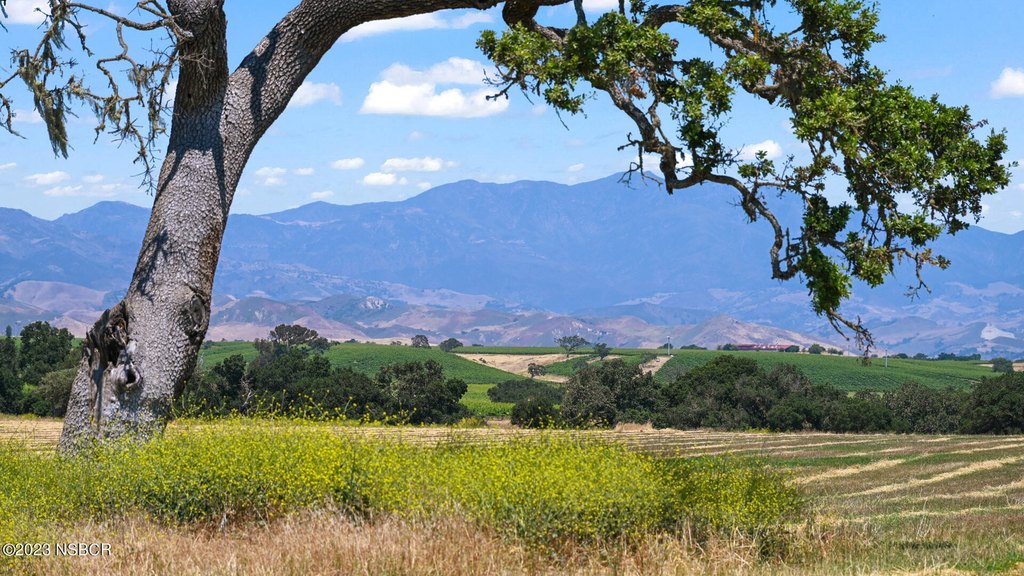 Santa Ynez, California, 93460, United States, 3 Bedrooms Bedrooms, ,2 BathroomsBathrooms,Residential,Forsale,1985951