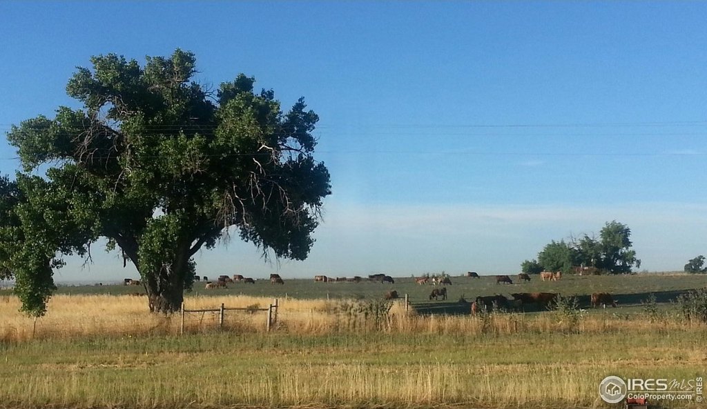 La Salle, Colorado, 80645, United States, ,Land,Forsale,2000012