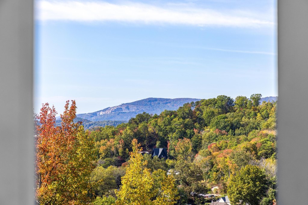 Chattanooga, Tennessee, 37405, United States, 5 Bedrooms Bedrooms, ,5 BathroomsBathrooms,Residential,Forsale,2009546