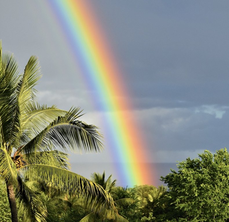 Kailua-Kona, Hawaii, 96740, United States, 2 Bedrooms Bedrooms, ,2 BathroomsBathrooms,Residential,Forsale,2004395