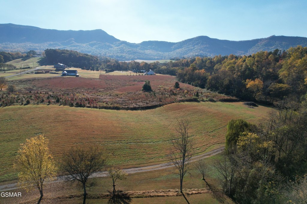 Dandridge, Tennessee, 37725, United States, 3 Bedrooms Bedrooms, ,2.5 BathroomsBathrooms,Residential,Forsale,1999447