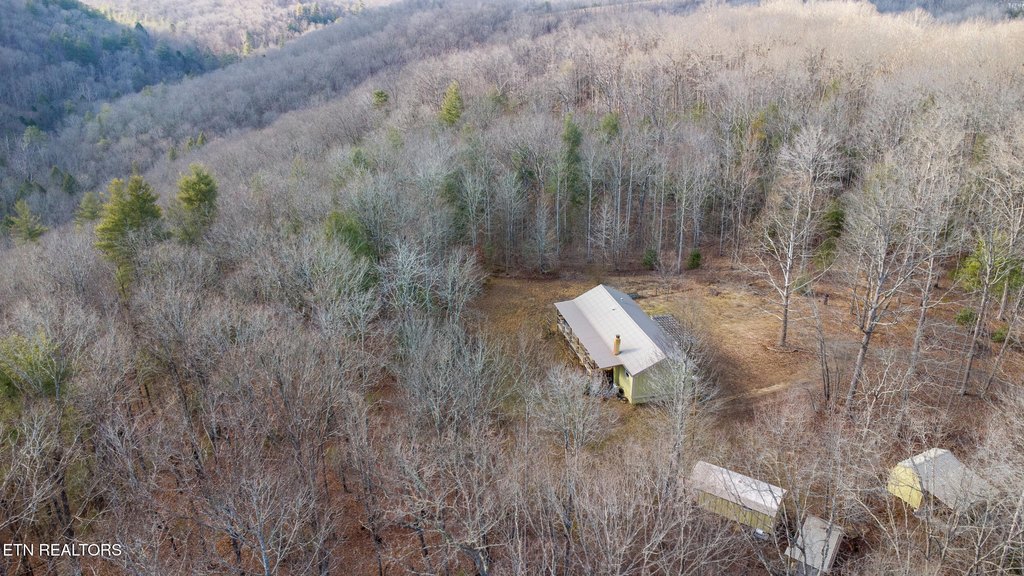 Lancing, Tennessee, 37770, United States, ,Land,Forsale,1999441