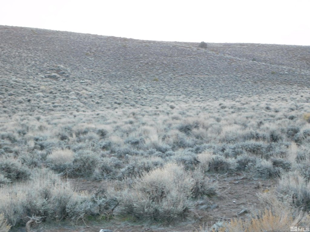 Dayton, Nevada, 89403, United States, ,Land,Forsale,1886494