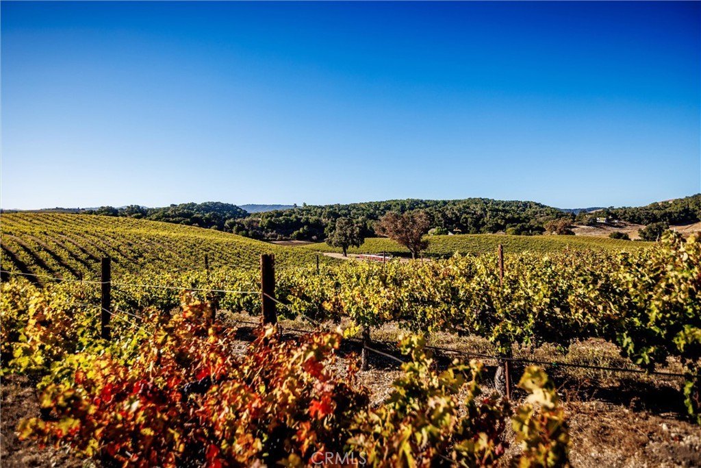 Paso Robles, California, 93446, United States, ,Land,Forsale,1997699