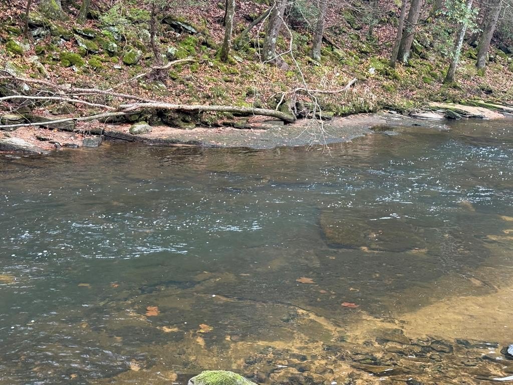 Crossville, Tennessee, 38555, United States, ,Land,Forsale,1996601