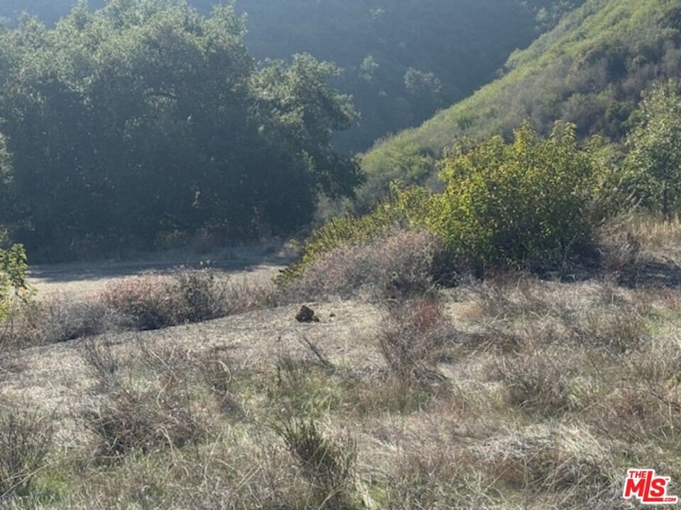 Malibu, California, 90265, United States, ,Land,Forsale,2009619