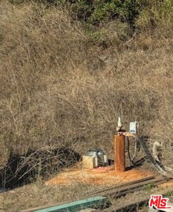 Malibu, California, 90265, United States, ,Land,Forsale,2009620
