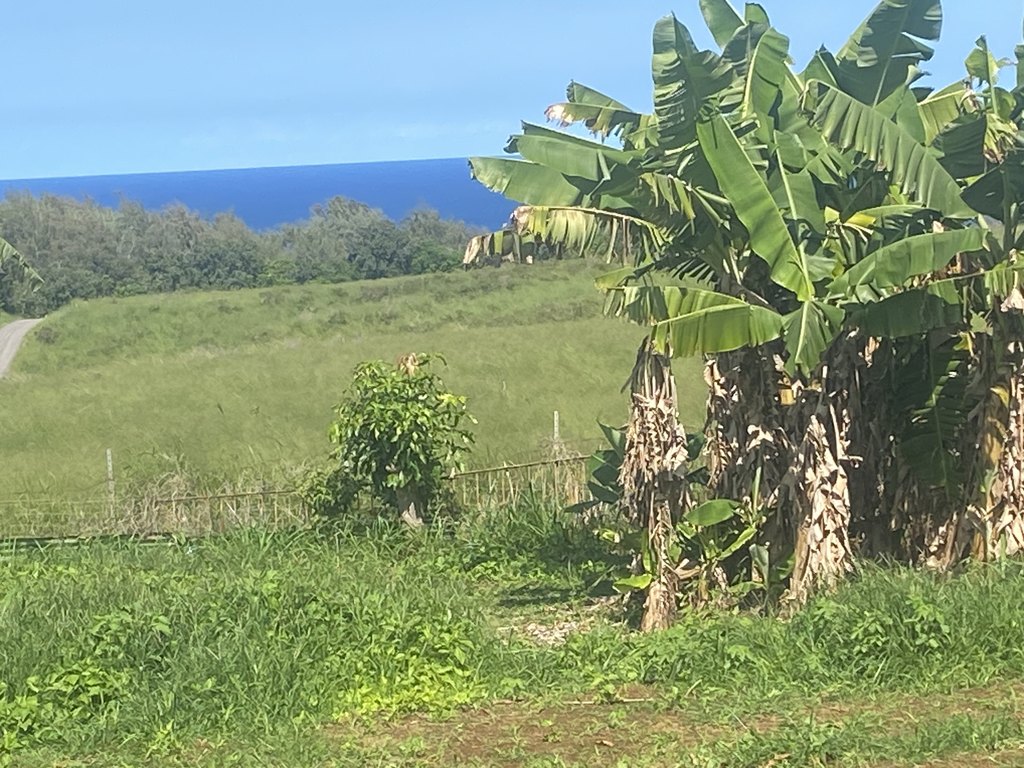 Kapaau, Hawaii, 96755, United States, 3 Bedrooms Bedrooms, ,2.5 BathroomsBathrooms,Residential,Forsale,2004414