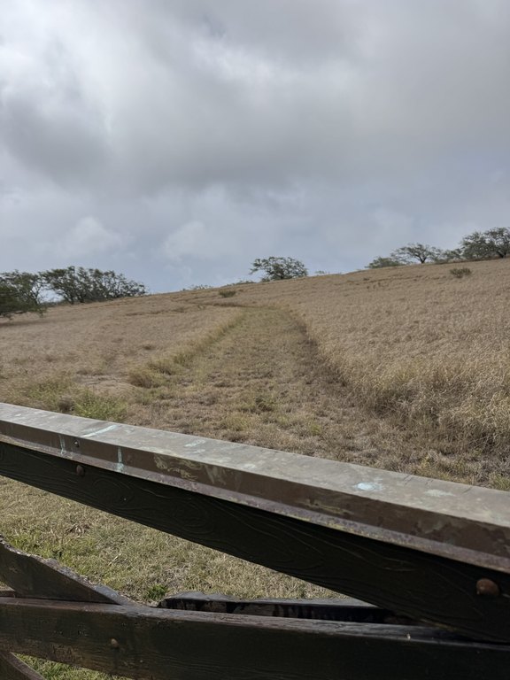 Hawi, Hawaii, 96719, United States, ,Land,Forsale,1886637