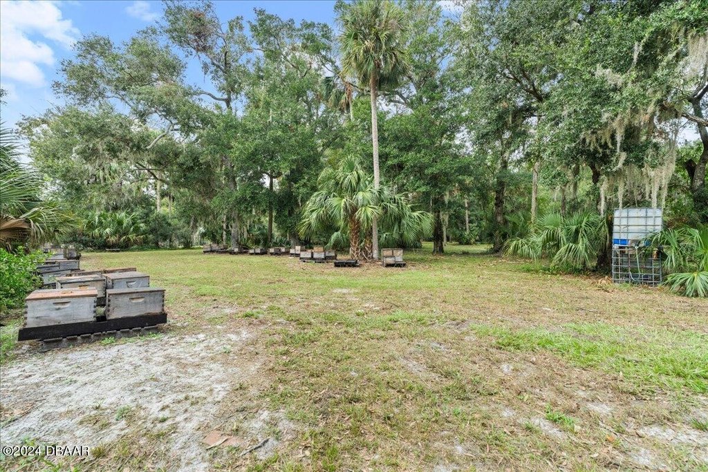 Flagler Beach, Florida, 32136, United States, ,Land,Forsale,2002762