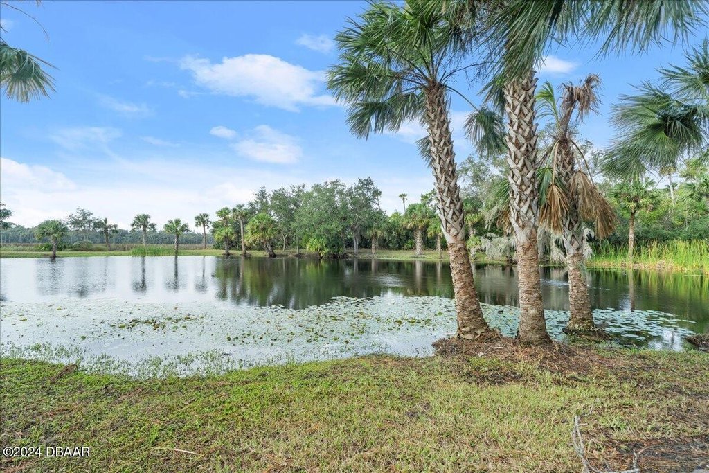 Flagler Beach, Florida, 32136, United States, ,Land,Forsale,2002762
