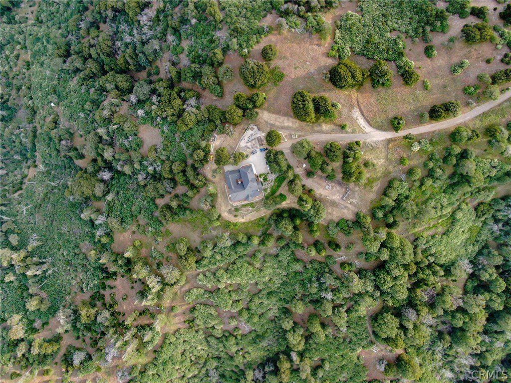 Cedarpines Park, California, 92322, United States, 7 Bedrooms Bedrooms, ,4 BathroomsBathrooms,Residential,Forsale,1968448